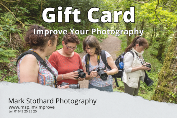 Workshop Gift Card : Improve Your Photography