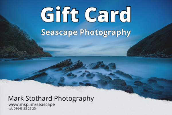 Workshop Gift Card : Seascape